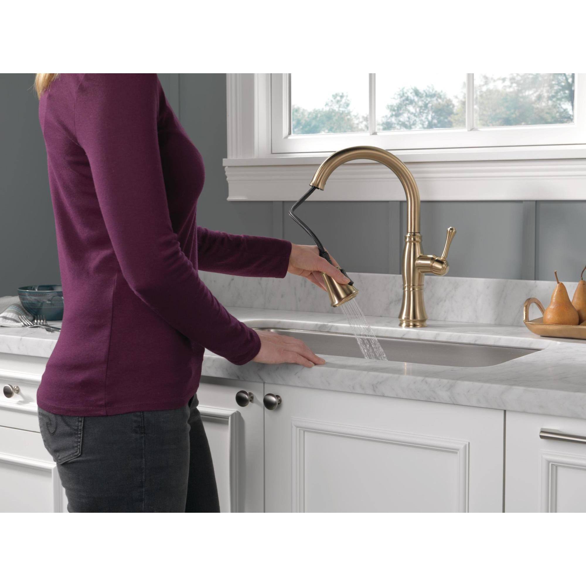 Delta 9197-DST Cassidy Chrome Single Handle Pull Down Kitchen Faucet