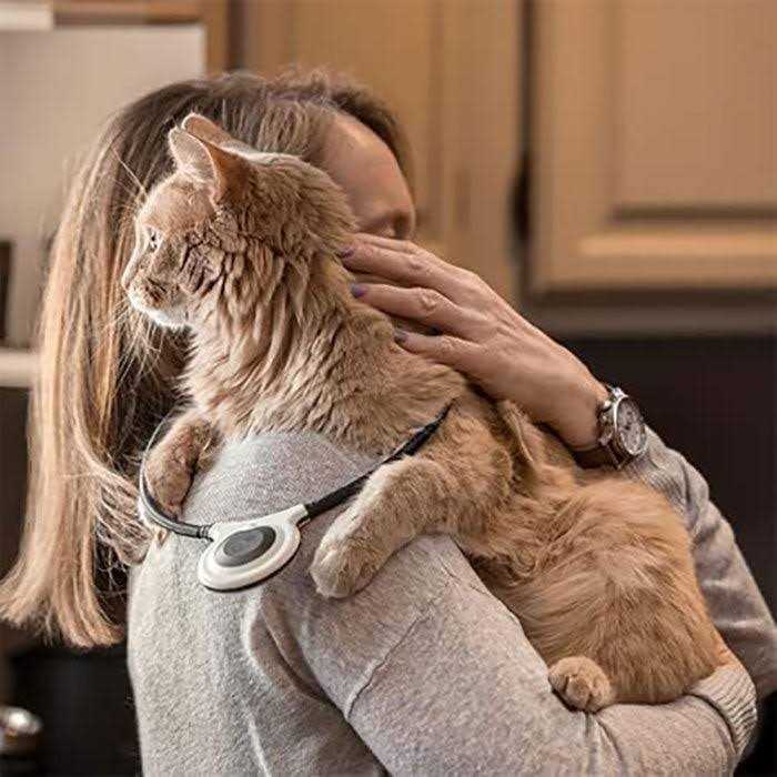 Assisi Loop 2.0 Manual - Pet Supplies online store