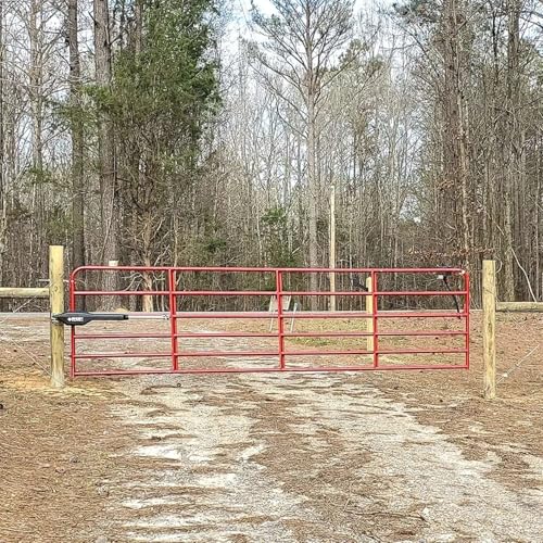 Ghost Controls Heavy-Duty Automatic Gate Opener Kit for Swing Gates with Long-Range Gate Opener Remote - Model TDS2