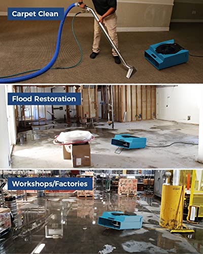 ALORAIR 2 x WiFi Commercial Dehumidifier, 6 x Air Movers and 2x Air Scrubber Combo Package Deals, Water Damage Restoration Equipment