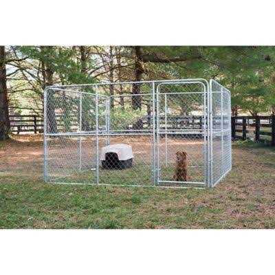 Stephens Pipe &amp; Steel LLC Dog Kennel System Gold Series 10 x 10 x 6-ft. DKA11010 - Pet Supplies online store