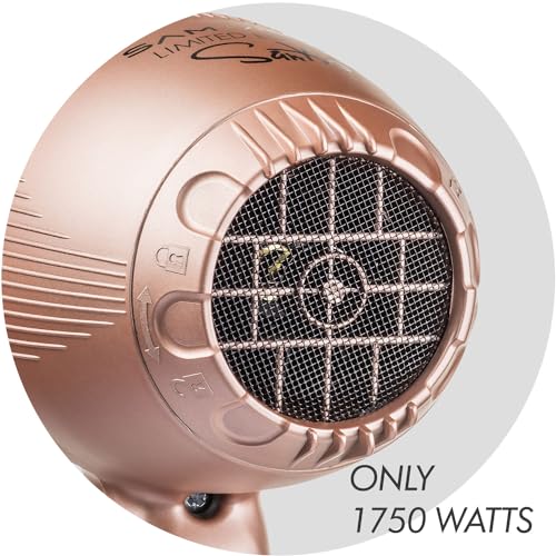 Sam Villa Lightweight & Quiet Ionic Professional Hair Dryer With Variable Speed & Temperature