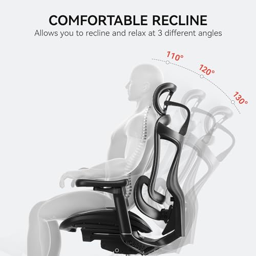 SIHOO Doro C300 Ergonomic Office Chair with Ultra Soft 3D Armrests, Dynamic Lumbar Support for Home Office Chair, Adjustable Backrest Desk Chair, Swivel Big and Tall Office Chair, Computer Chair Grey