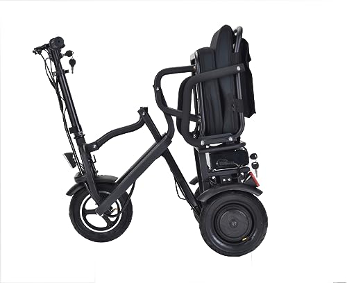 Folding Mobility Electric Scooter 48v 700w Dual Motor Lithium Battery 42 * 22 * 33(Inch) (Black)…