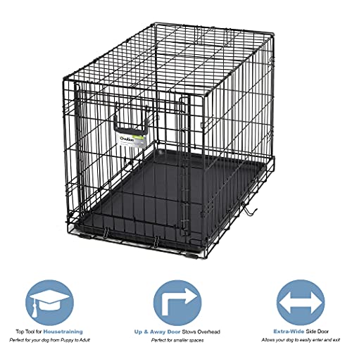 MidWest Homes for Pets Ovation Single Door Dog Crate, 42-Inch