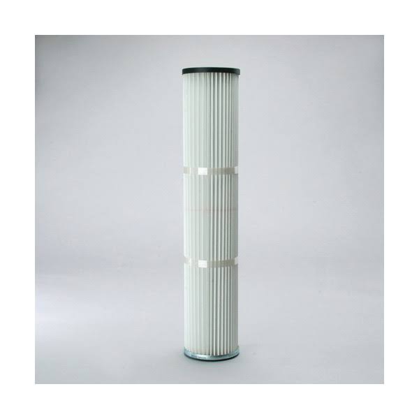 Donaldson P783648 - Air Filter, Primary Special