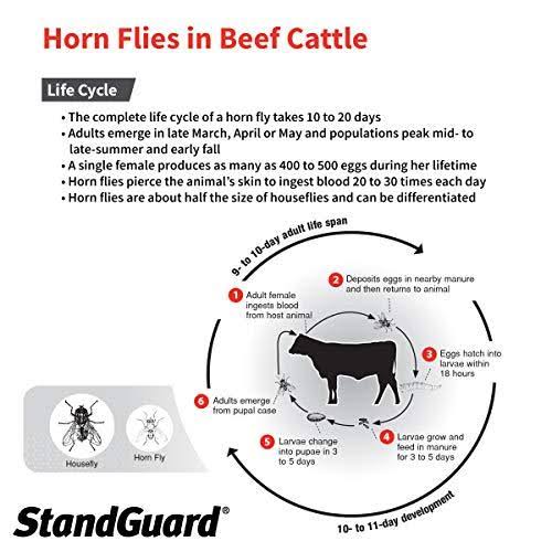 StandGuard Pour-On Insecticide for Cattle 152 fl oz/4.5 Ltrs