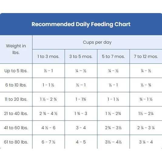 Blue Buffalo Wilderness Large Breed Puppy High Protein Natural Chicken &amp; Wholesome Grains Dry Dog Food - Pet Supplies online store