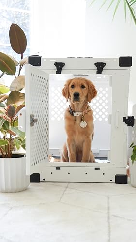 Impact Collapsible Dog Crate - High-Strength, Powder-Coated Aluminum Construction with Portable, Space-Saving Design for Home and Travel (Gray, 40" (40.5" L x 23" W x 29" H))