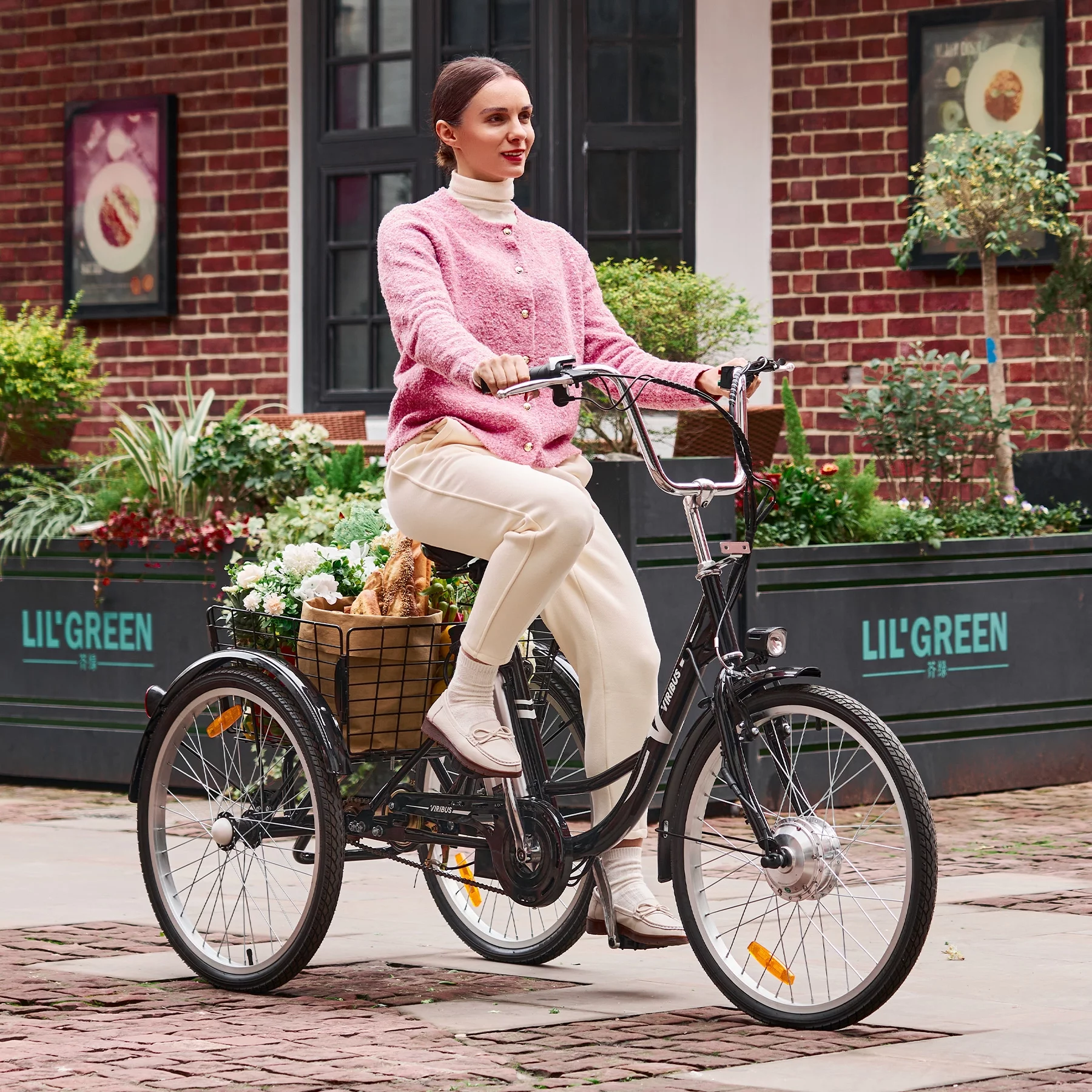 26" Electric Tricycle for Adults 3 Wheel Electric Bike 250W Electric Trike Black