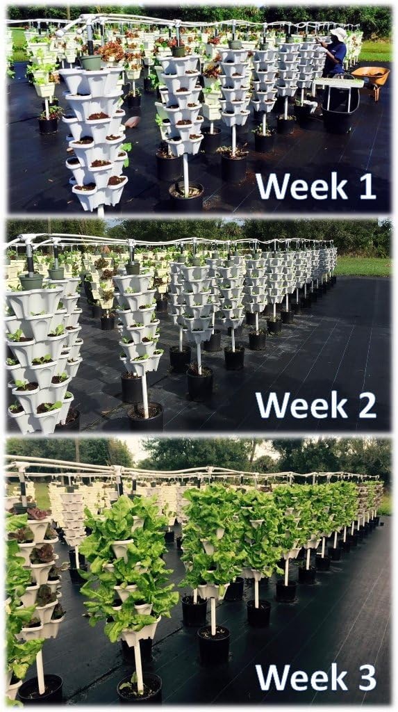 Mr. Stacky NEW (20) Individual Stacking Hydroponic 13" Pots - Build Your Own Vertical Container Growing System - Grow Vegetables Herbs Strawberries Greens Food Safe Plastic Stackable Planters
