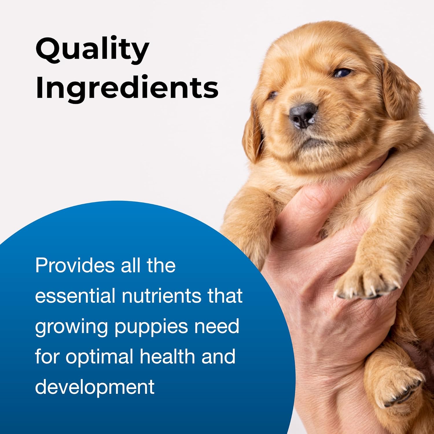 Pet-Ag Goat’s Milk Esbilac Powder - 5 lb - Powdered Puppy Formula with Prebiotics, Probiotics & Vitamins for Puppies Newborn to Six Weeks Old - for Sensitive Digestive Systems