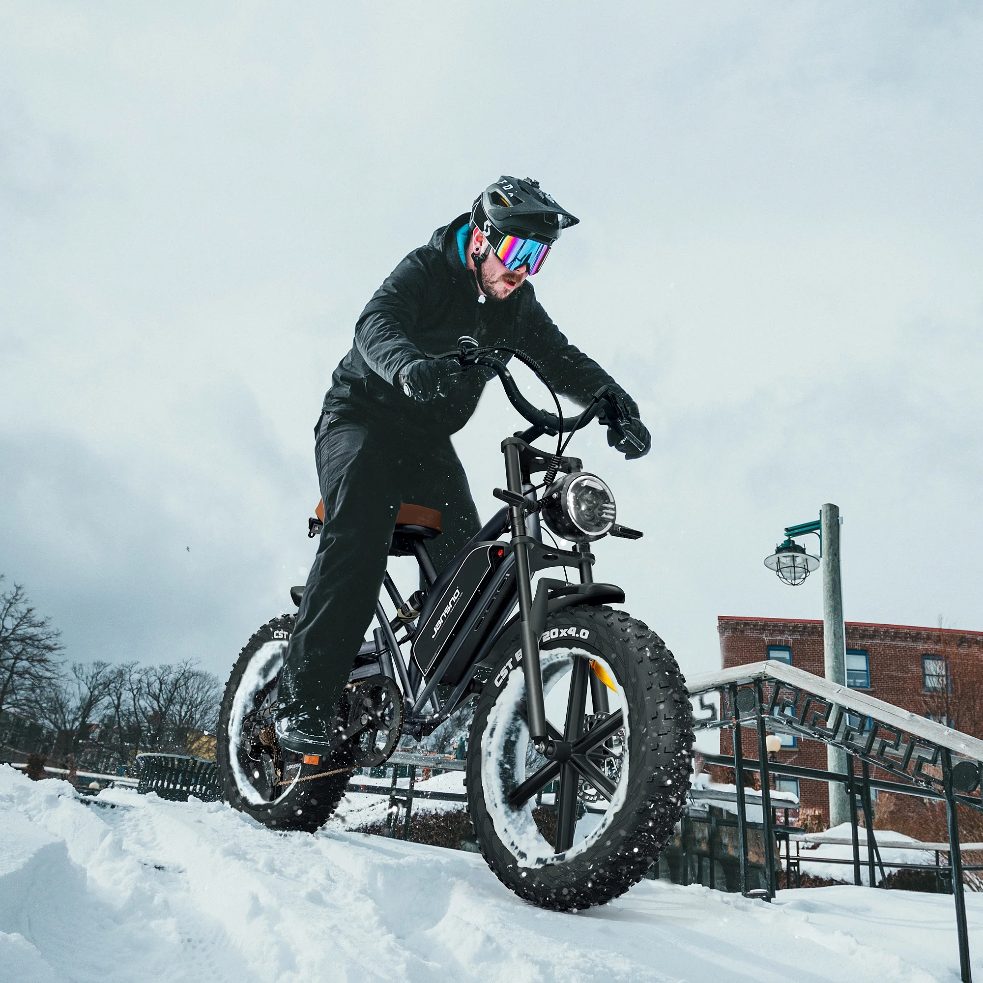 Arnahaishe 20" 4.0 Fat Tire Electric Bike for Adults, 750W Adults E Bike, 48V 14Ah Removable Li-Ion Battery, Professional 7-Speed, Electric Mountain Bicycle Beach Bike Snow Bike Ebike for Men