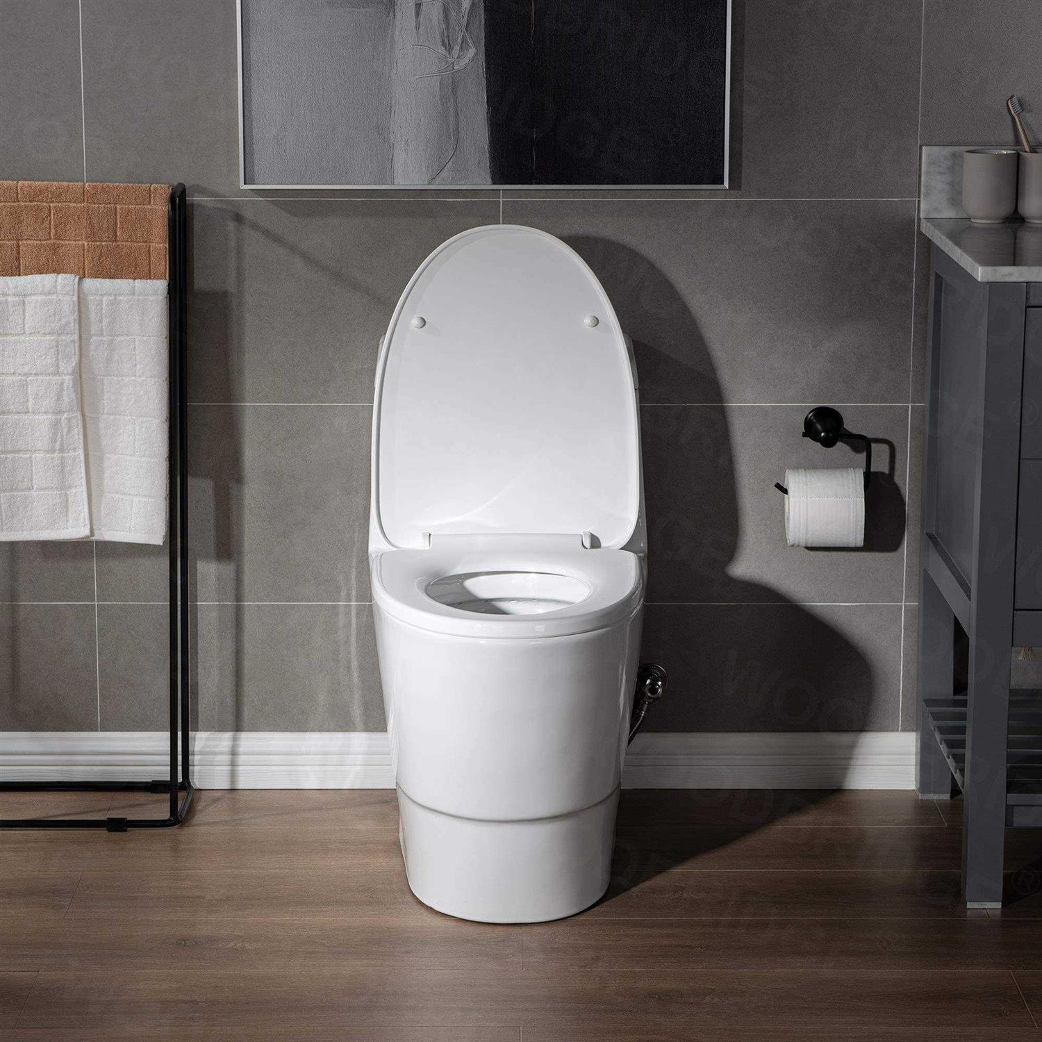 WoodBridge B0940-MB Dual-Flush Elongated One-Piece Toilet Finish - Shop Hardware Tools Online Store
