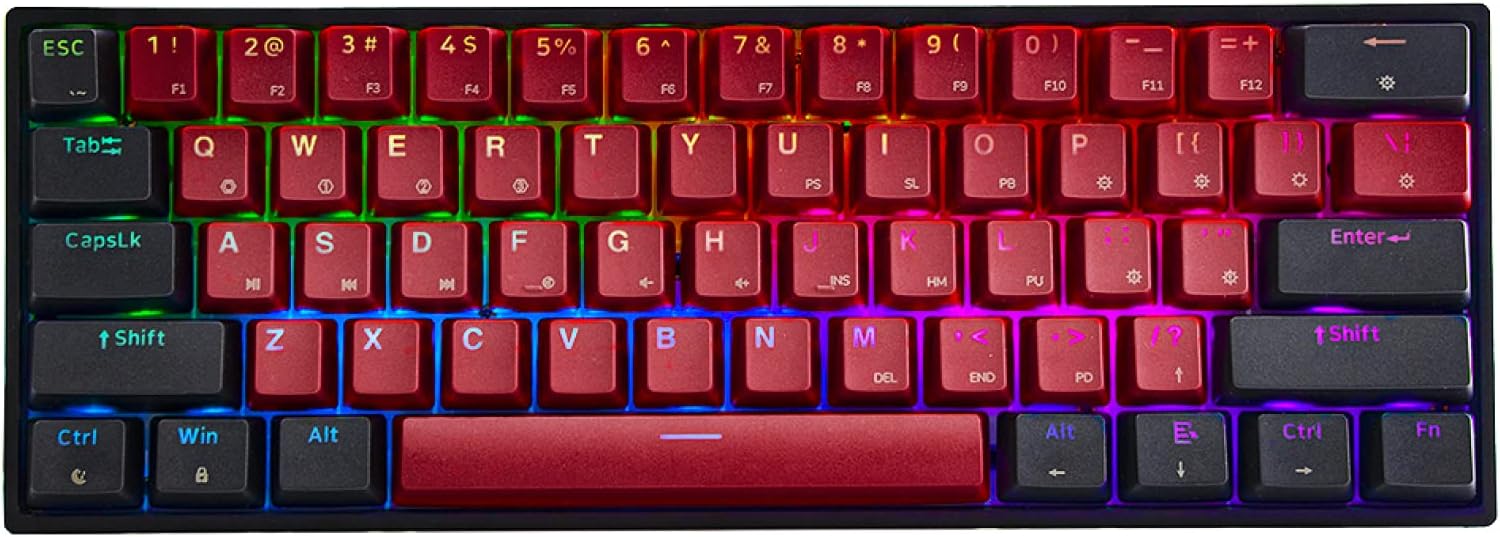 EPOMAKER SKYLOONG SK61 61 Keys 60% Hot Swappable Programmable Mechanical Gaming Wired Keyboard with RGB Backlit, NKRO, Water-Resistant, Type-C Cable for Win/Mac/Gaming (Gateron Optical Black, Panda)
