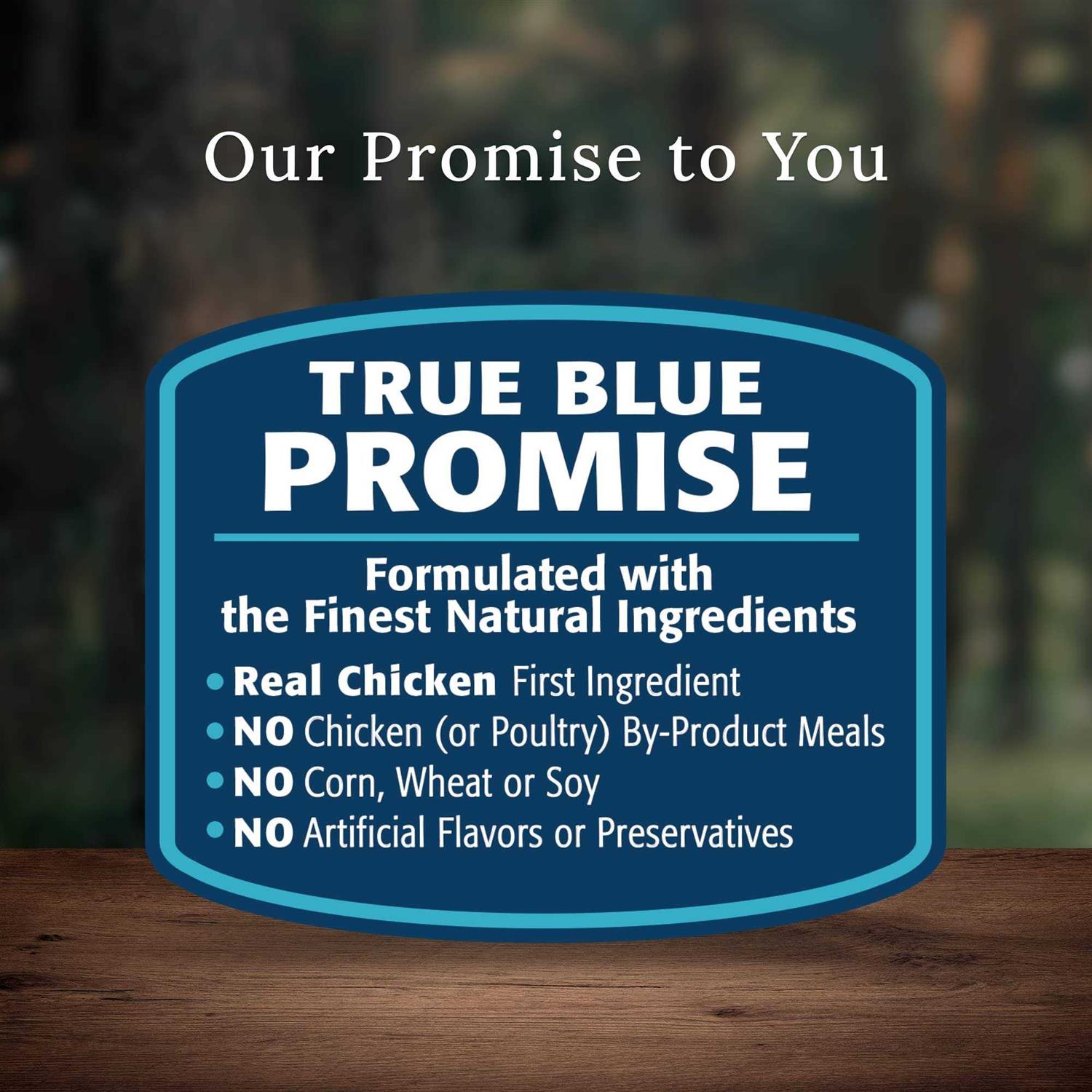 Blue Buffalo Wilderness Rocky Mountain Recipe Dog Food - Pet Supplies online store