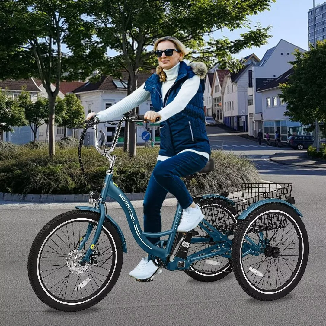 Docred 24'' Adult Electric Tricycles 3 Wheel Electric Bike, 15.5 mph 500W Electric Trikes for Seniors .7-Speed & 4 Adjustable Riding Modes Electric Tricycle with 36V Removable Lithium Battery