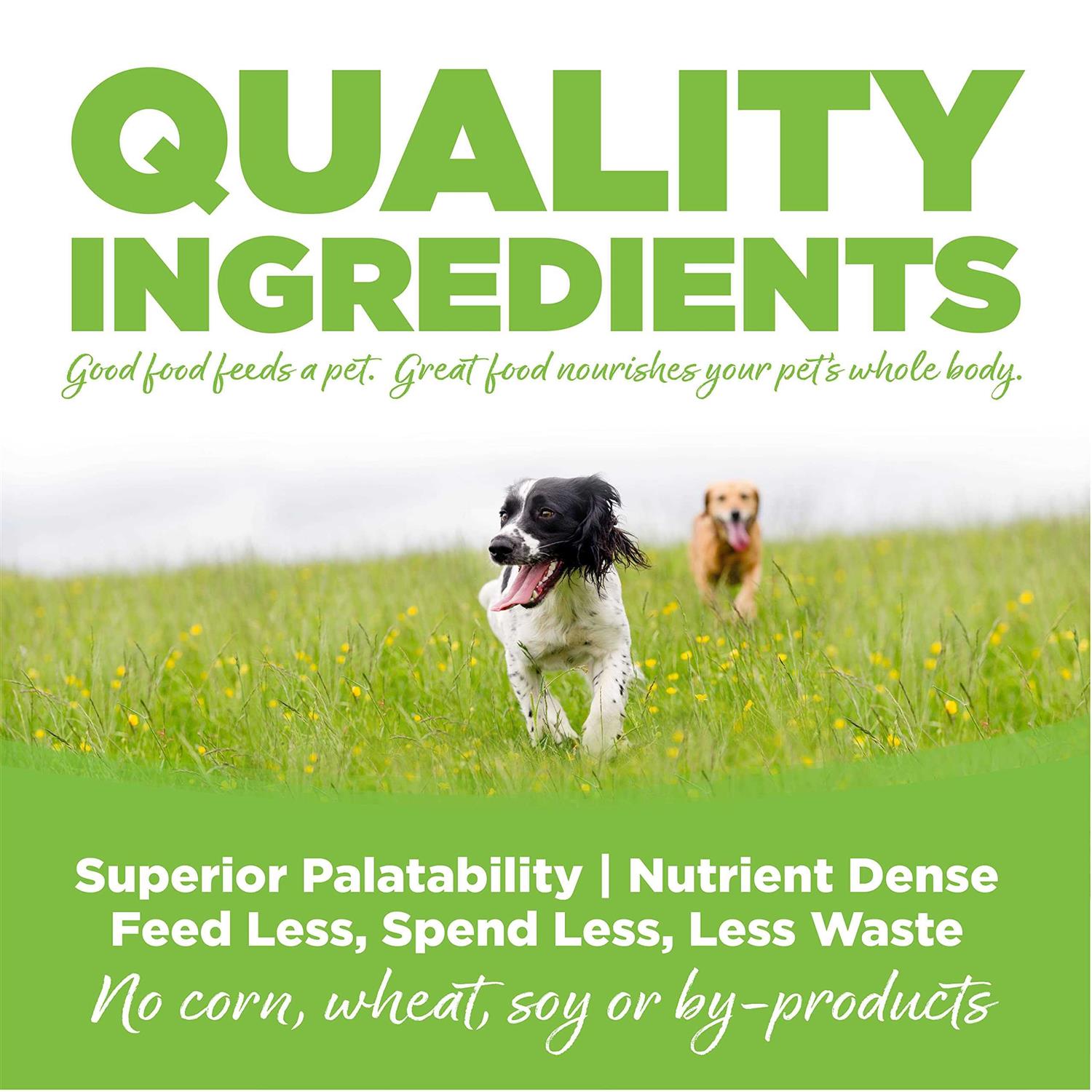 NutriSource Chicken Weight Management Dry Dog Food - Pet Supplies online store