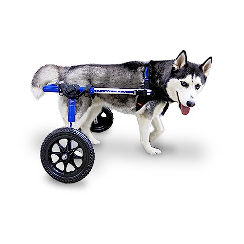 Walkin' Wheels Dog Wheelchair - for Med/Large Dogs 50-69 lbs - Veterinarian Approved - Dog Wheelchair for Back Legs