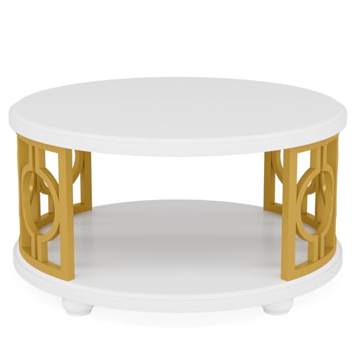 2-Tier Coffee Table, Modern Round Center Table with Storage Shelf for Living Room