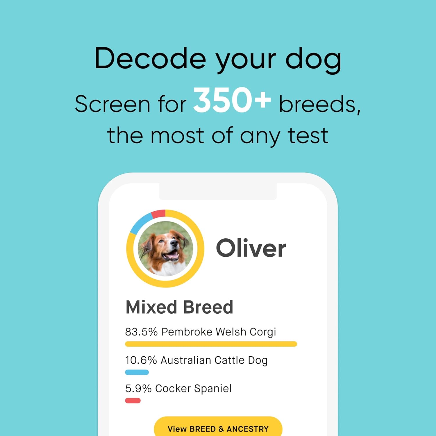Embark Breed Identification Dog DNA Test & Dog Age Test Bundle - Discover Breed, Ancestry, Relatives, and Birthday
