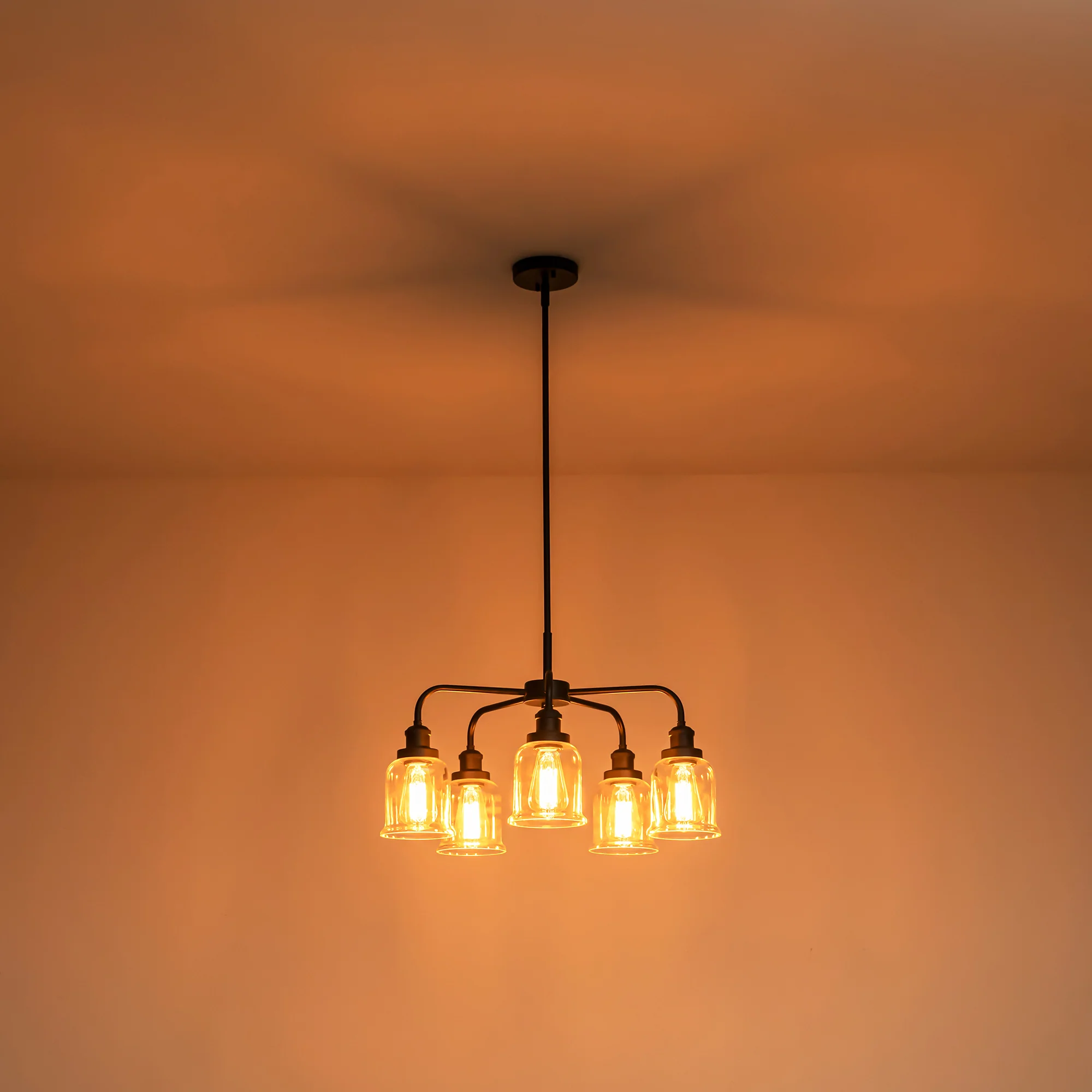 Avelon 5-Light Dimmable Glass Farmhouse Bell Shaded Chandelier (24)