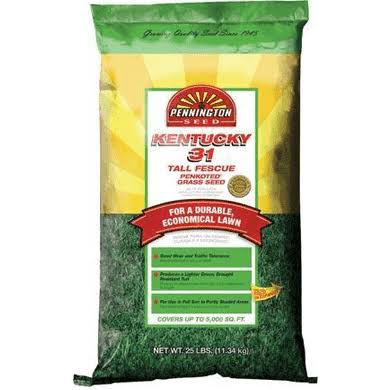 Kentucky 31 Tall Fescue Grass Seed, 50 lbs.