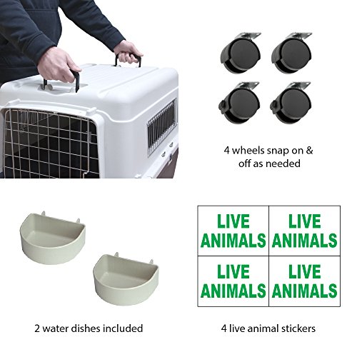 SportPet Designs Plastic Kennels Rolling Plastic Airline Approved Wire Door Travel Dog Crate, XXX-Large, Gray