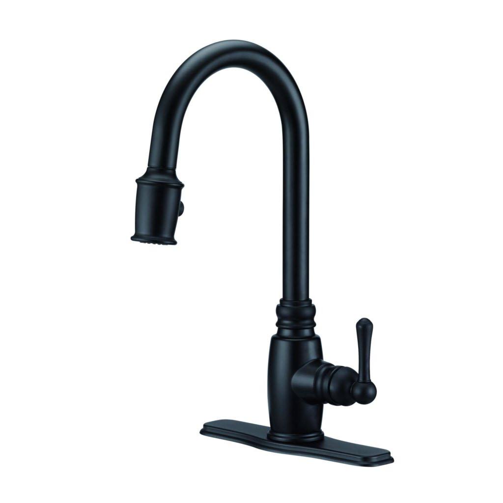 Danze D455557 Opulence Single Handle Pull-Down Kitchen Faucet Chrome