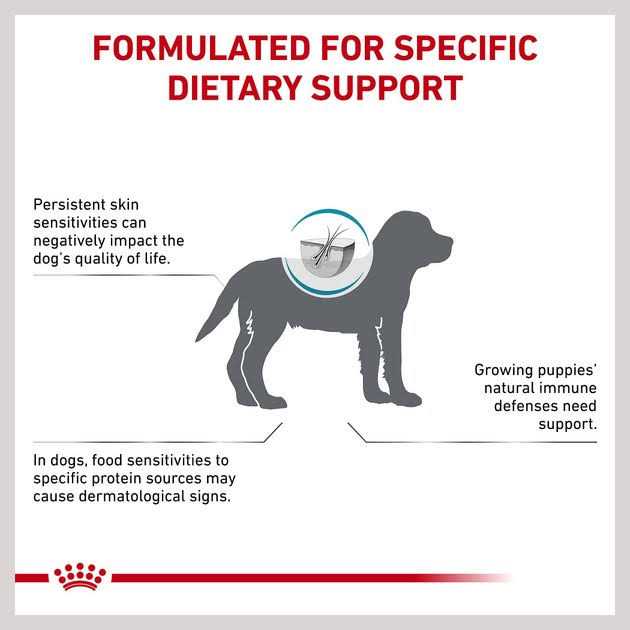 Royal Canin Hydrolyzed Protein Puppy Dry Dog Food Bag - Pet Supplies online store