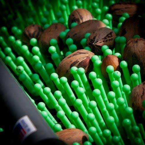 12 Nut Picker Upper Roller for Pecans, Large Acorns and Almonds