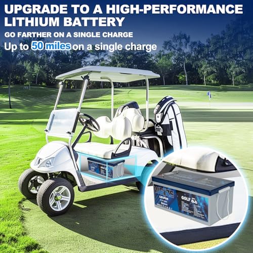 Weize 12V 100Ah TM LiFePO4 Lithium Battery, Built-in Smart BMS, Group 31 Deep Cycle Battery Perfect for Trolling Motor, RV, Solar, Marine, Overland/Van, and Off Grid Applications