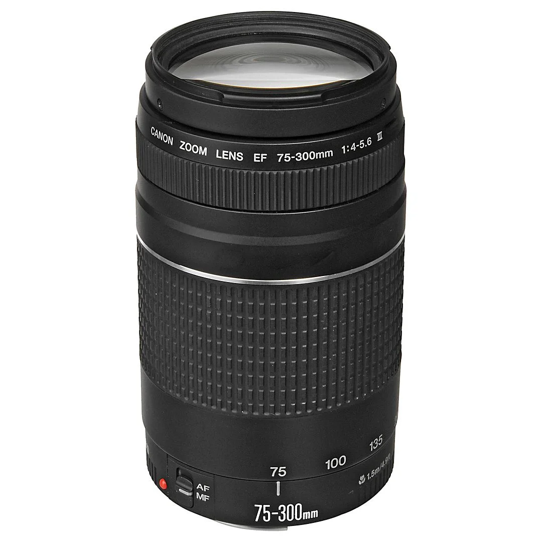 Canon EOS R50 Mirrorless Camera with RF-S 18-45mm + EF 75-300mm Lens + Mount Adapter + SanDisk 128GB Memory Card + Case + LED Flash + ZeeTech Accessory Bundle