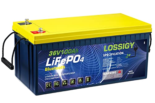 LOSSIGY 12V 300AH LiFePO4 Lithium Battery, Built in BMS with 10 Yrs Lifespan, Perfect for Solar System, RV, Marine