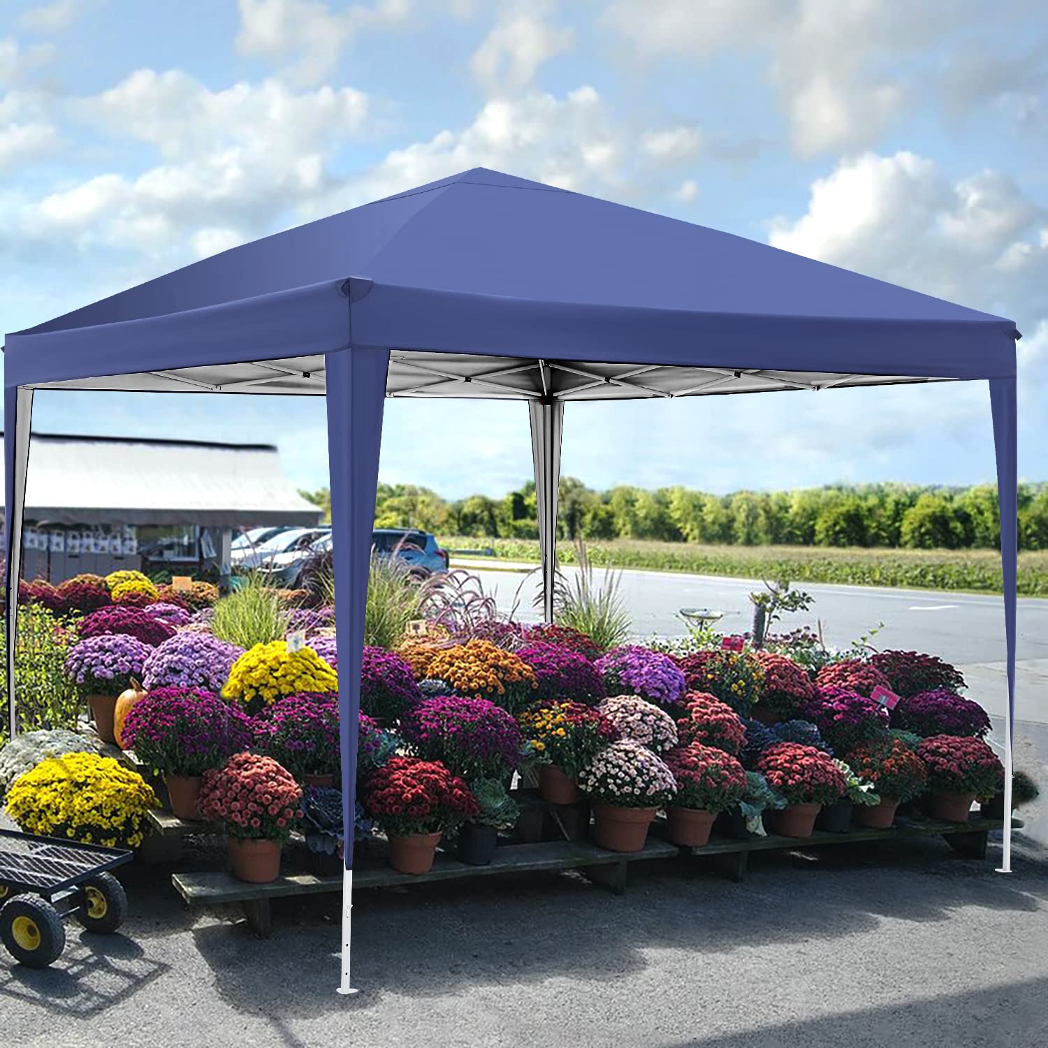 COBIZI 10'x10' ft Popup Canopy Waterproof Canopy with 4 Sidewalls Outdoor Commercial Instant Shelter Beach Camping Canopy Tent for Party, Blue