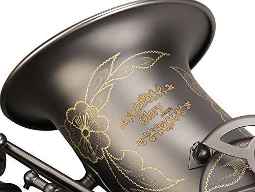 Glory Black Laquer E Flat Alto Saxophone with 11reeds,8 Pads cushions,case,carekit