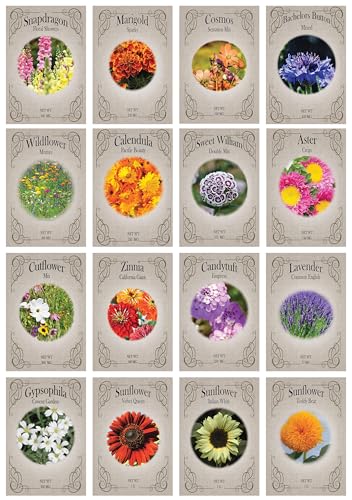 1000 Slightly Assorted Flower Seeds – Great for Bees, Birds, and Butterflies – Includes 10+ Varieties of USA Grown & Non-GMO Seeds! – May Include Forget-Me-Nots, Marigolds, Wildflowers, and More