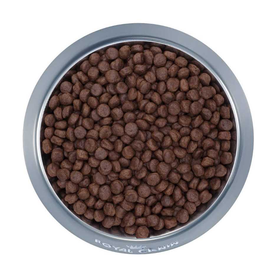 Royal Canin Veterinary Diet Canine Selected Protein Adult Dry Dog Food - Pet Supplies online store