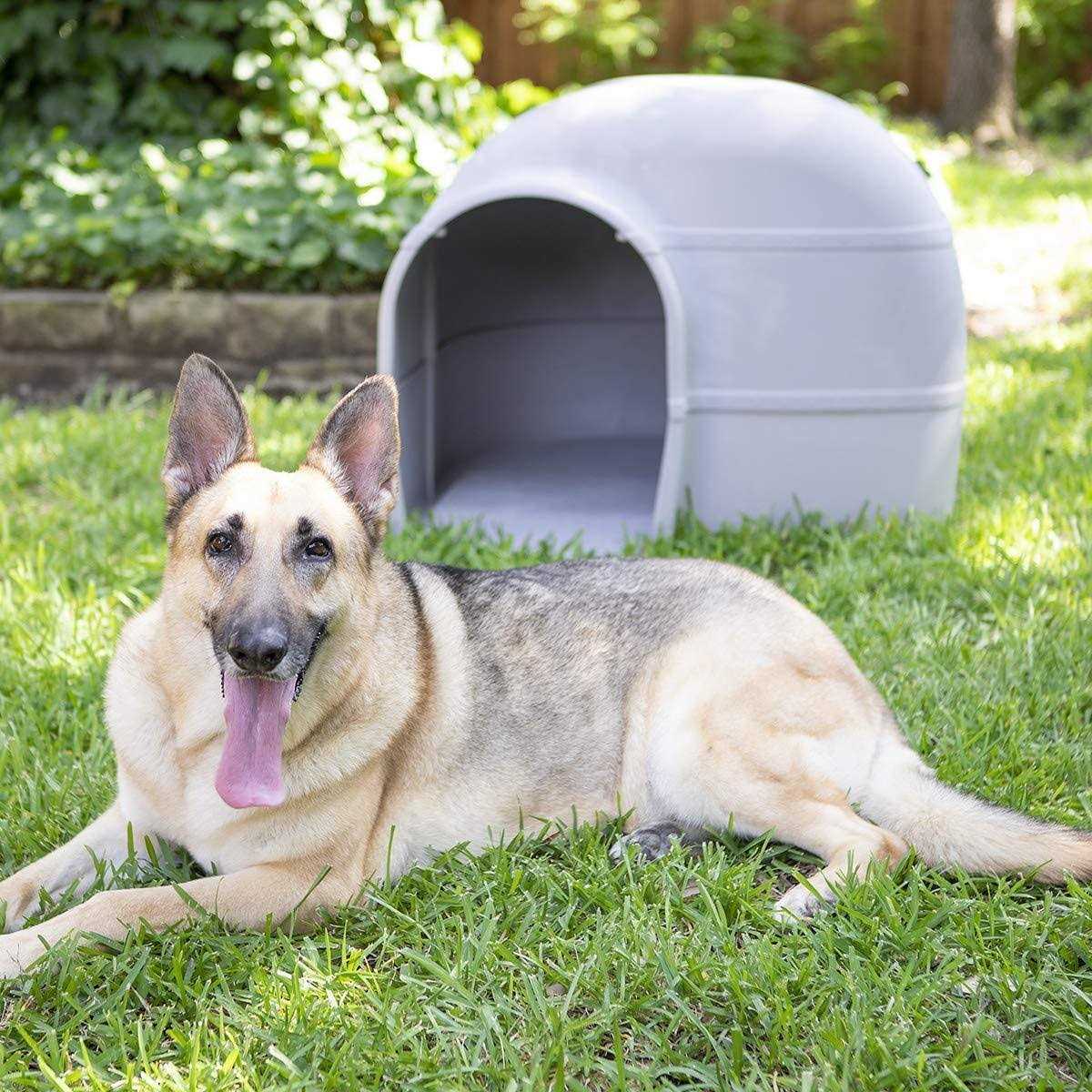 Petmate Husky Dog House - Pet Supplies online store