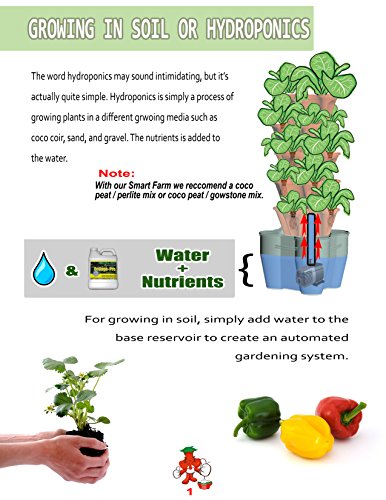 Mr. Stacky Smart Farm - Automatic Self Watering Garden - Grow Fresh Healthy Food Virtually Anywhere Year Round - Soil or Hydroponic Vertical Tower Gardening System (Standard Kit, Stone)