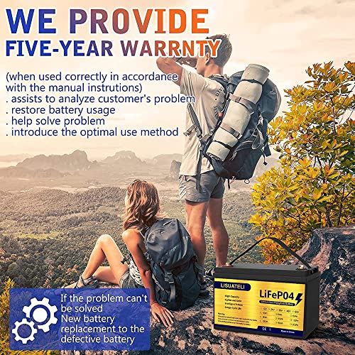12V 100Ah Lifepo4 Lithium Batteries Up to 3000-7000 Deep Cycles for Golf Cart Solar RV Camper Marine Battery (12V100AH black)