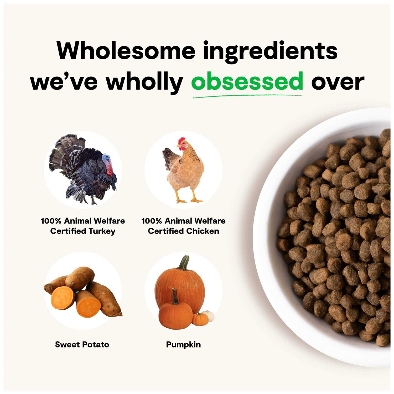 Open Farm Senior Dry Dog Food - Pet Supplies online store