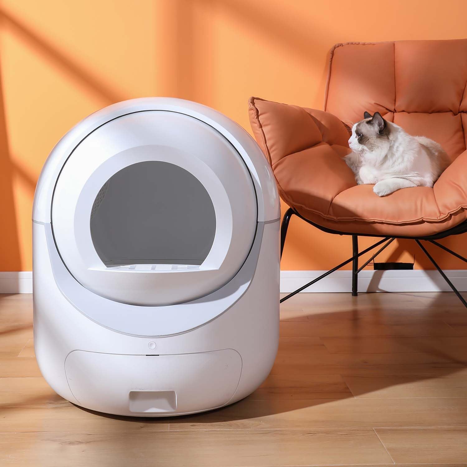 Automatic Smart Cleaning Litter Box with Odor Removal and APP Control, Latest Model Controlled Self Cleaning Cats Litter Boxes with Automatic Scooping and WiFi Connect Smart App, Multiple Cats