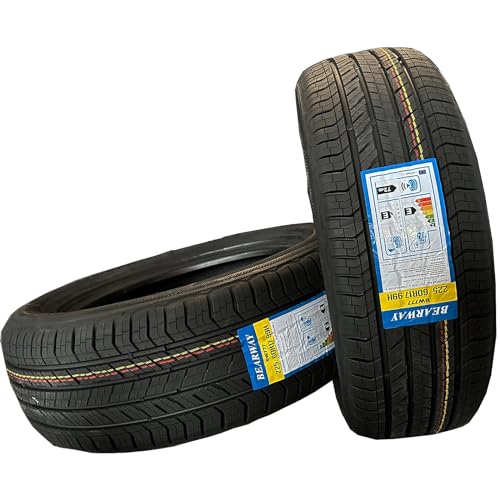 All Season Radial Tire 225/60R17 4PR+BW 99H (225/60R17)