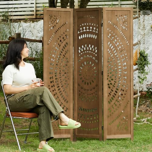 Room Divider Wood Carved Wall Divider Indoor Folding Bohemian Style Portable Partition Screen for Home Office Garden Terrace - 6 Panels (Antique, White-Washed)