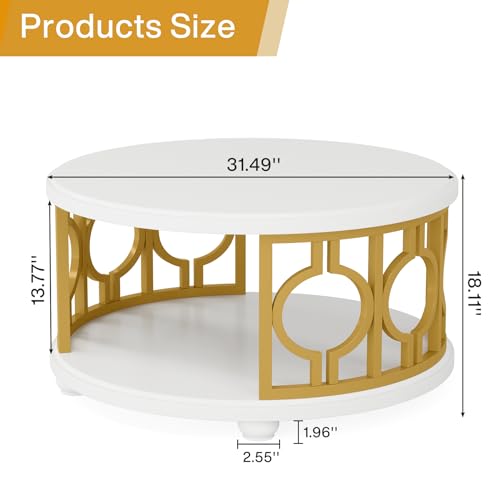 2-Tier Coffee Table, Modern Round Center Table with Storage Shelf for Living Room