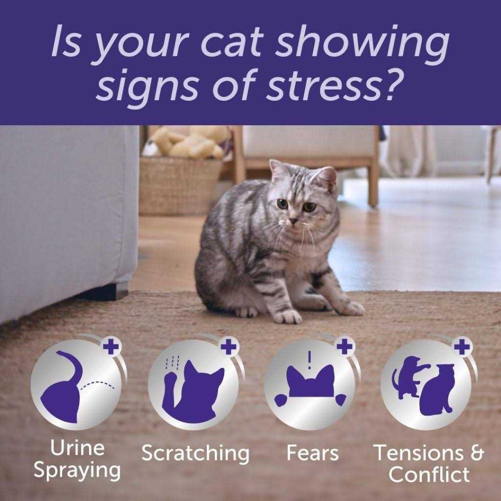 Feliway Optimum Enhanced Calming Pheromone 30 Day Cat Diffuser Refill - Pet Supplies online store