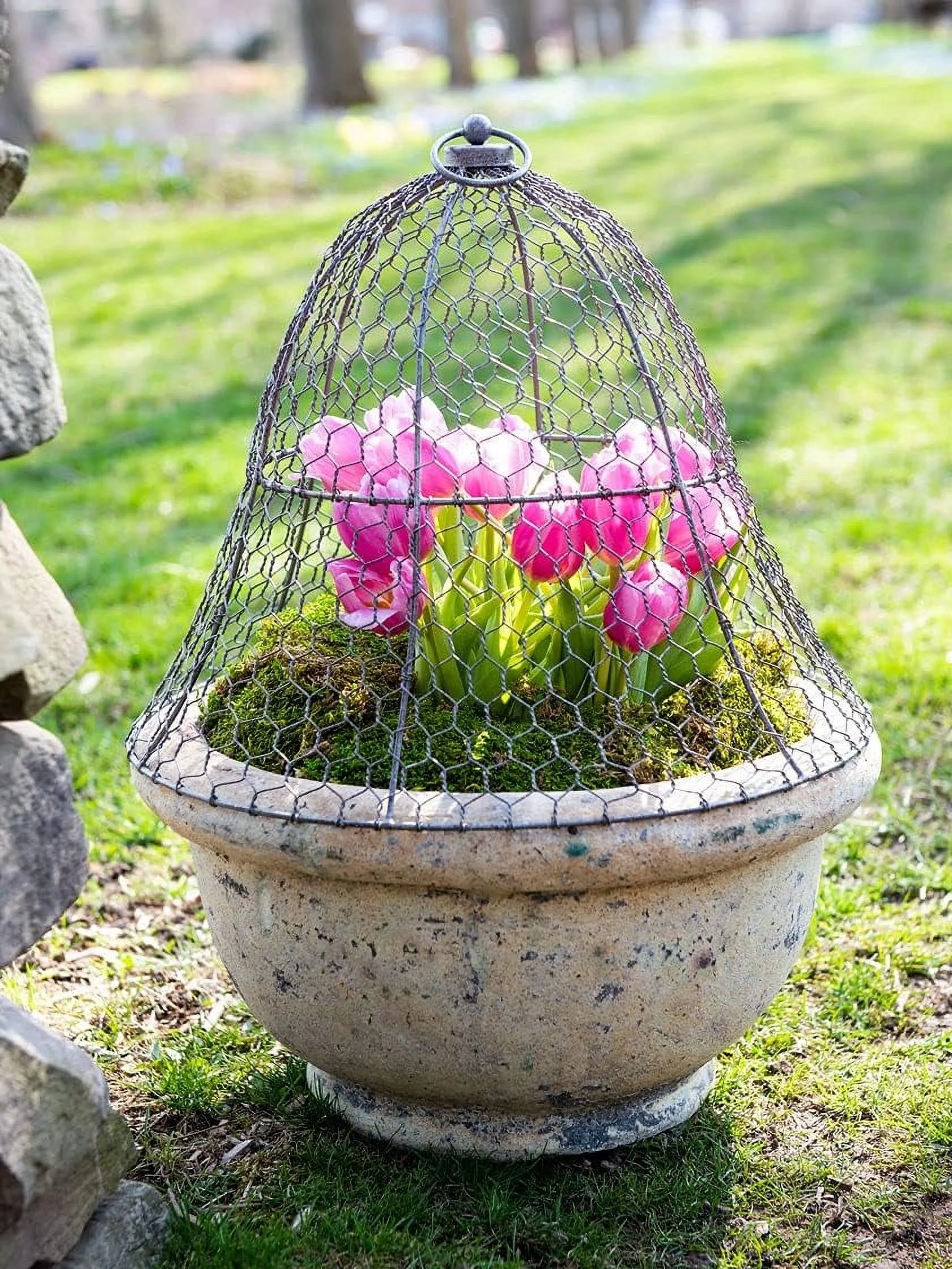 Sturdy Chicken Wire Cloche Plant Protector & Cover | Sturdy Metal Cage Garden Protection for Your Plants and Seedlings | 16" in Diameter x 12-1/2" H - (Set of 6)