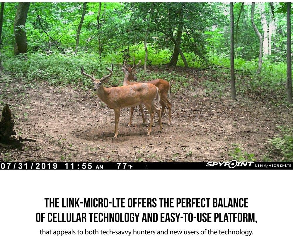 SPYPOINT LINK-MICRO-LTE-V Cellular Trail Camera 4 LED Infrared Flash Game Camera with 80-foot Detection and Flash Range LTE-Capable Cellular Trail Camera 10MP 0.5-second Trigger Speed Hunting Camera