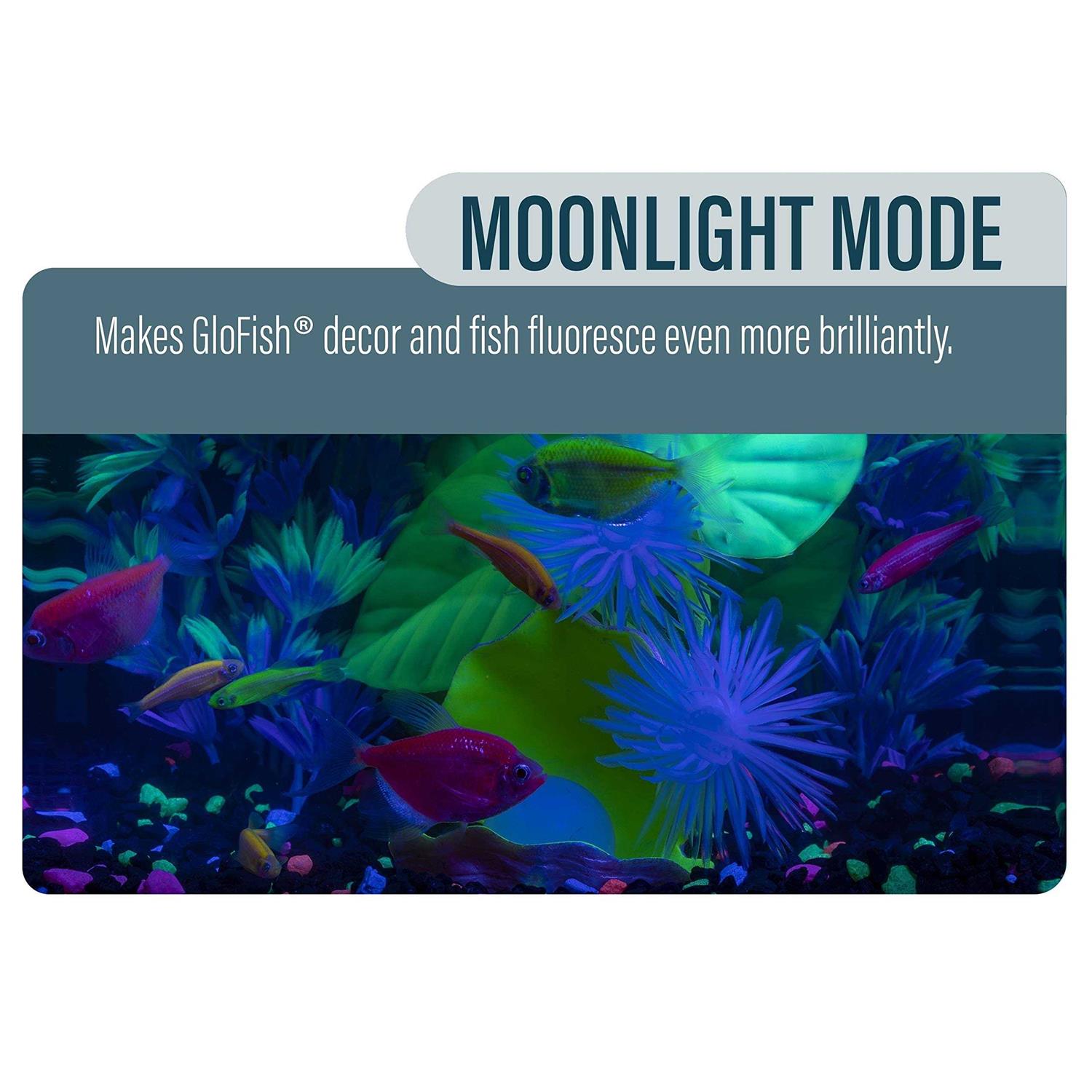 GloFish Aquarium Kit - Pet Supplies online store